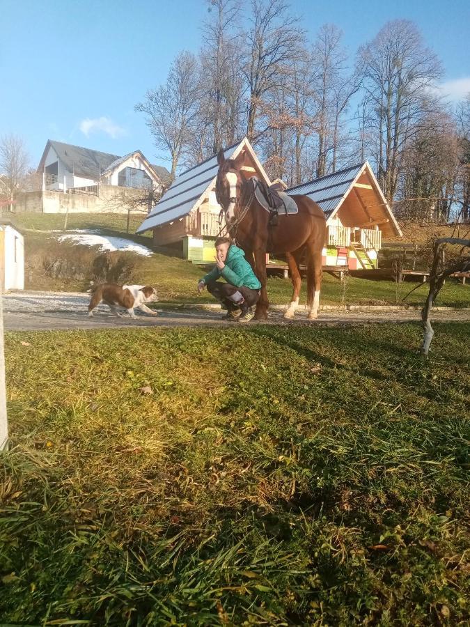 Apartma Pr' Vok Lesce  Buitenkant foto