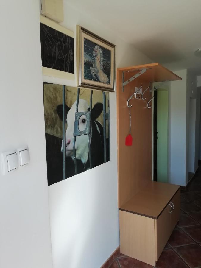 Apartma Pr' Vok Lesce  Buitenkant foto